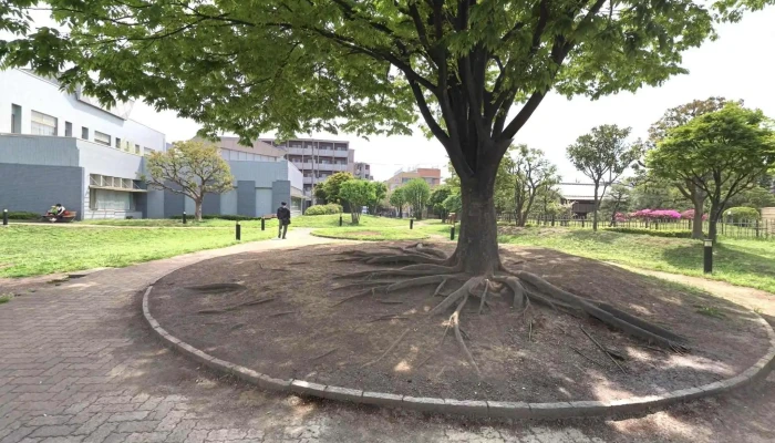 Chuan Qi Shi Guo Ji Jiao Liu Senta Sutori Tobiyu To 360deg Biyu - 川崎市