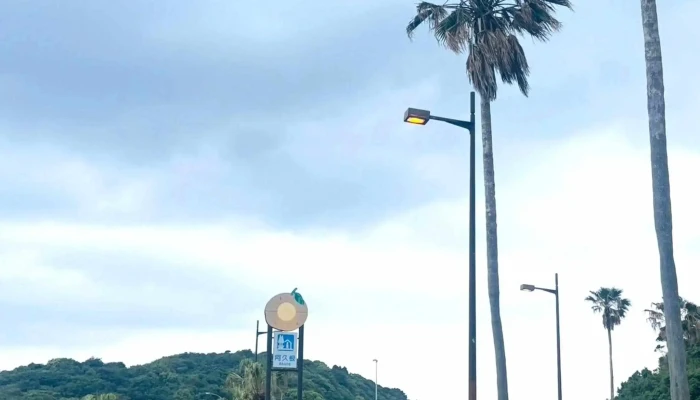 Dao NoYi A Jiu Gen 阿久根市 - 阿久根市