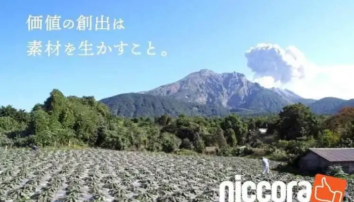 Di Yu Cai Sheng Lab O Na Ti Gong - 鹿児島市