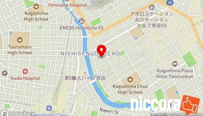 の地図 日本土地評価システム株式会社 鹿児島支社 企業のオフィス で 鹿児島市