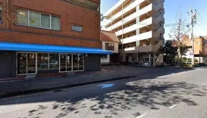Ri Ben Ncrsa BisuZhu Lu Er Dao Ying Ye Suo Subete - 鹿児島市