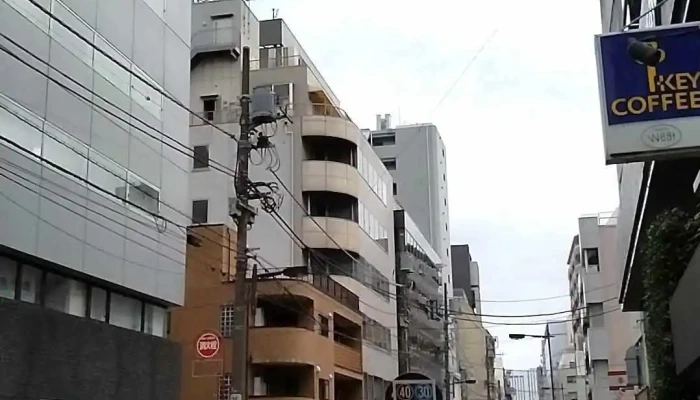 Ri Xin Ithui Rudosa BisuZhu Shou Du Quan Tong Gua Bu Dong Hua - 台東区