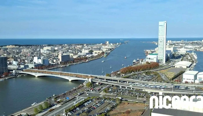 Xin Xi Ri Bao Medeiashitsupu Dong Hua - 新潟市