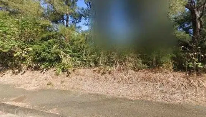 Yan Mei Nokahueresutoran Amamibanirahua Mukahuepole Poleporepore Sutori Tobiyu To 360deg Biyu - 奄美市
