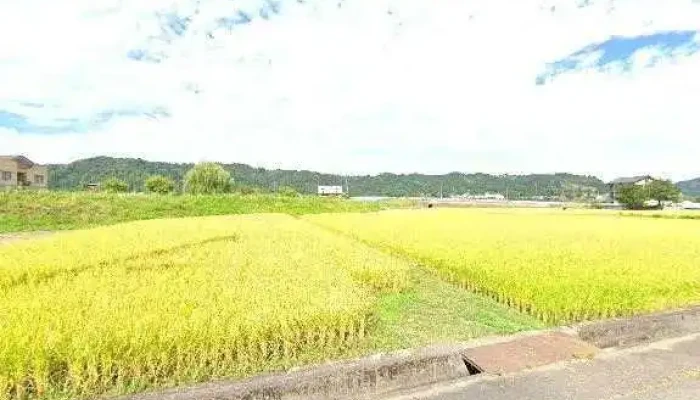 You Xian Hui She Ezison Subete - 魚沼市