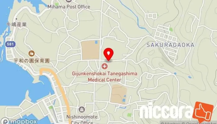 の地図 (株)地方創生テクノロジーラボ 種子島オフィス コンサルタント で 西之表市