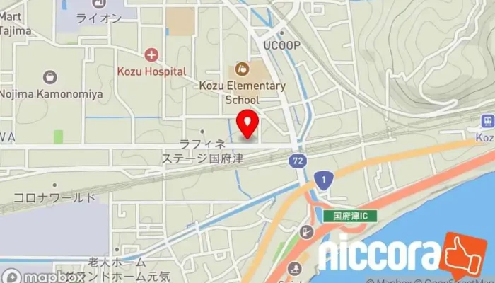 の地図 株式会社テクノリサーチ IT コンサルタント, ウェブ デザイナー で 小田原市