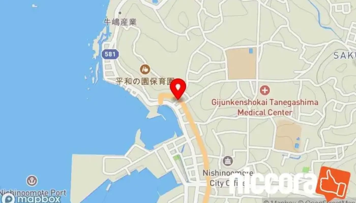 の地図 ㈱グローバルネット種子島 IT コンサルタント で 西之表市
