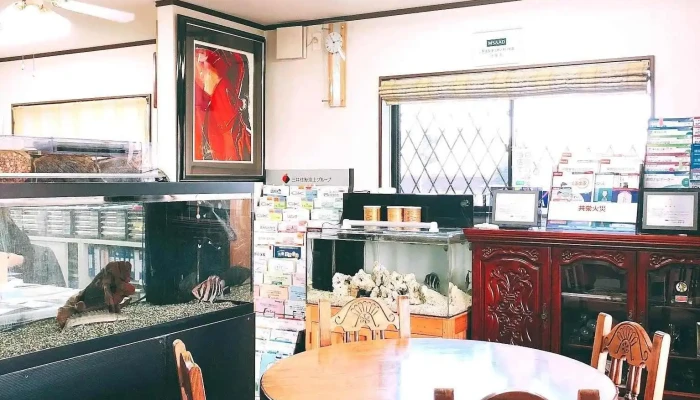 Zhu HakonsaruSun Hai Bao Xian Sheng Ming Bao Xian Shi Gu Xiang Tan Bao Xian Xiang Tan Chun Ri Jing Xiao Mu O Na Ti Gong - 春日井市