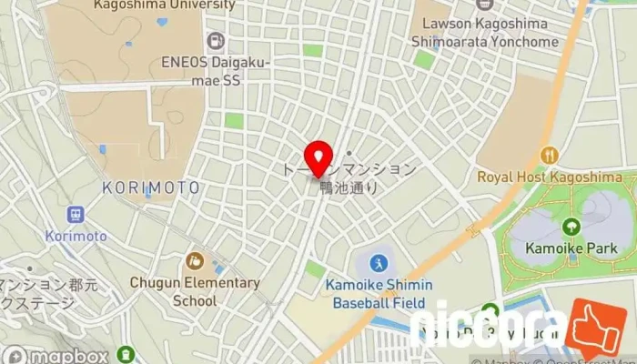 の地図 （株）コンピュータシステム研究所 鹿児島営業所 ソフトウェア企業 で 鹿児島市
