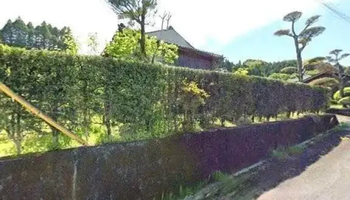 Zhu Satakonsarutantsu Nan Sa Ying Ye Suo Subete - 南九州市