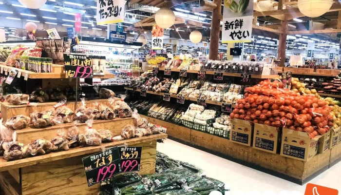 A -  Zakune Subete - 阿久根市