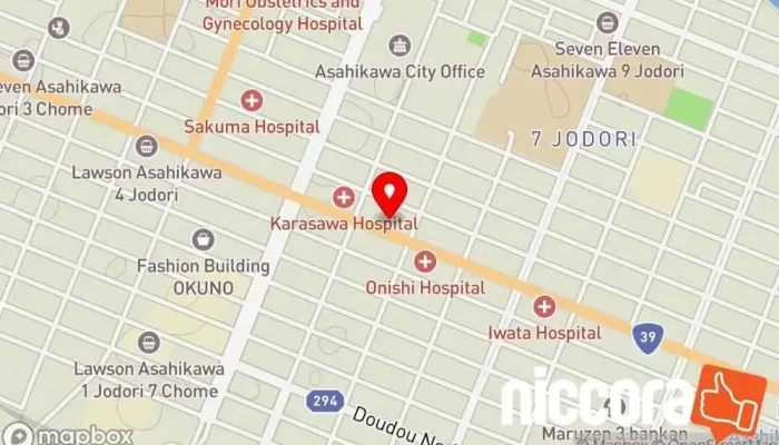 の地図 AIコンサルタント㈱ 旭川支店 生命保険代理店 で 旭川市