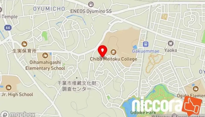 の地図 アルピナ（株） IT コンサルタント で 千葉市