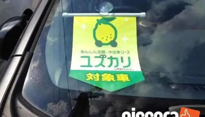 Car Consulting Japan Zui Xin - 尾張旭市