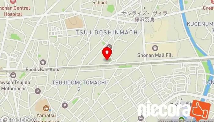 の地図 CNI IT Advisory LLC IT コンサルタント で 藤沢市