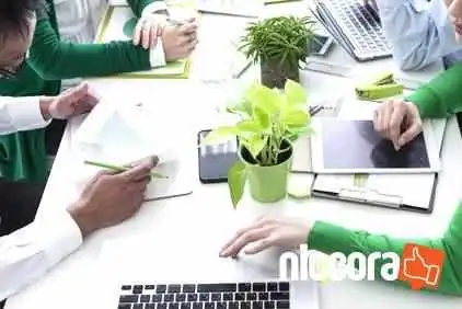 Cyber-garden[サイバーガーデン] It活用のコンサルティング事務所 - 新宮市