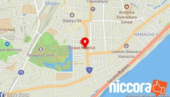 の地図 ヒューマンズ・ネット（株） ソフトウェア企業 で 小田原市