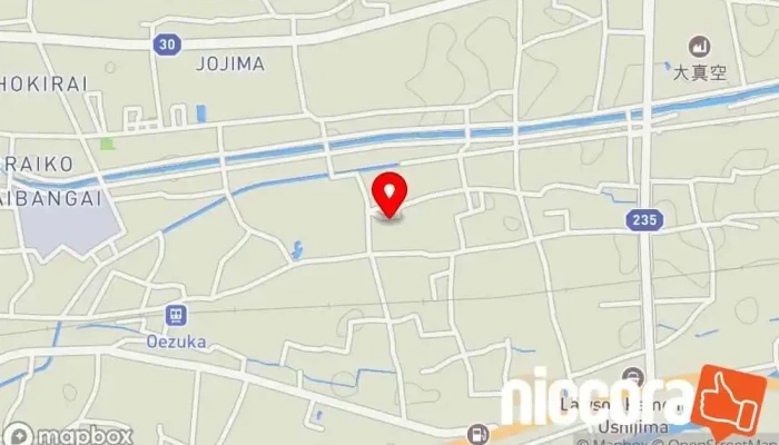 の地図 インフラ事業 (固定費削減) IT コンサルタント で 吉野川市