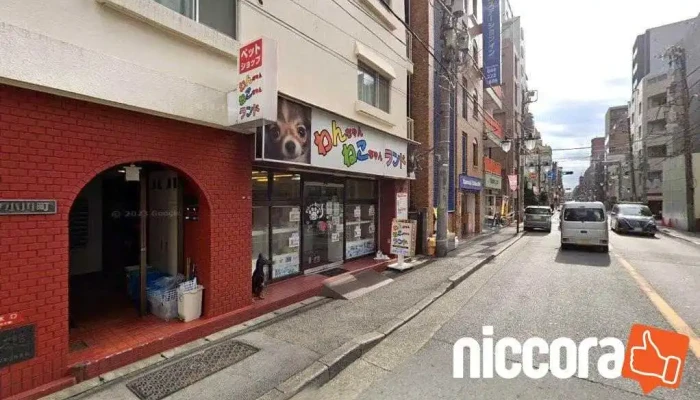 Knowledge marketing合同会社 - 川崎市