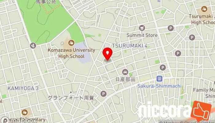 の地図 ニッポンダイナミックシステムズ ソフトウェア企業, IT コンサルタント で 世田谷区