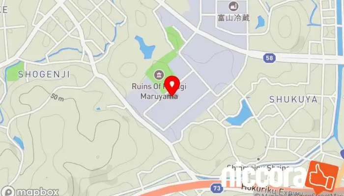 の地図 NSIC株式会社 環境エンジニア, 企業のオフィス で 射水市