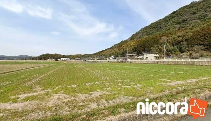 Ntt印刷株式会社 熊本工場（玉名） - 玉名市