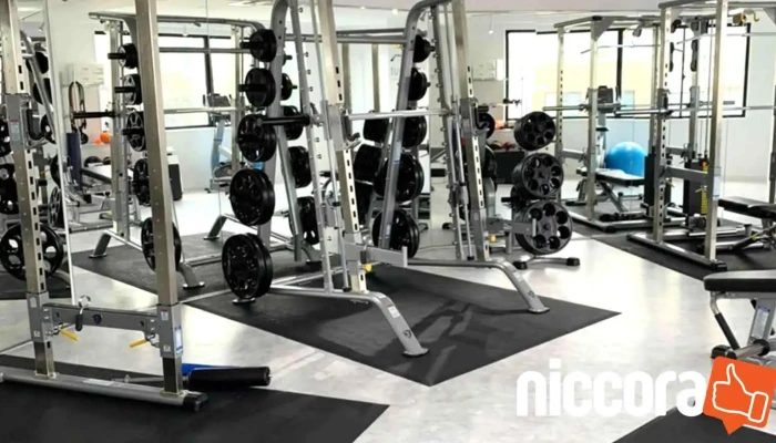 Rexer Personal Gymrekusa  Pa Sonaru Zimu Xi Gong Xun Lian - 西宮市
