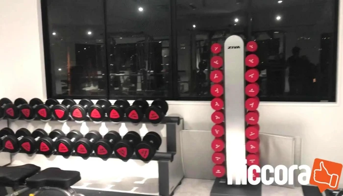 Rexer Personal Gymrekusa  Pa Sonaru Zimu Xi Gong Huitsutonesu - 西宮市