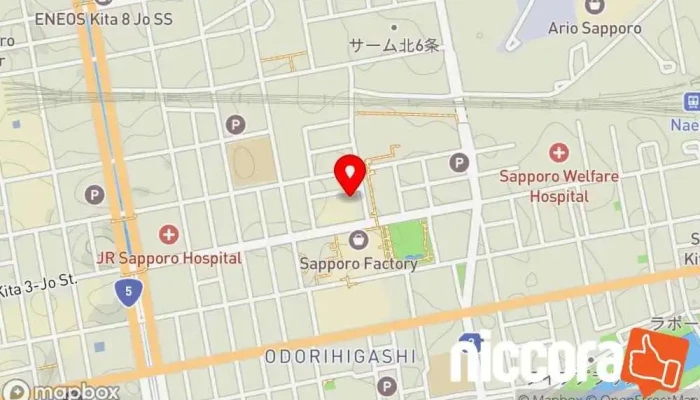 の地図 RUSHA Inc. IT コンサルタント で 札幌市