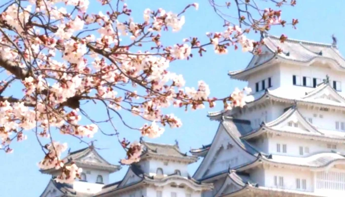 SbcRi Ben Yu Xue Yuan Sbc Japanease Language Academy Himeji Hyogo Japan 料金 - 姫路市