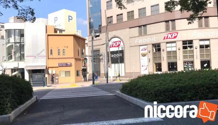 Skyflapsukaihuratsupu Dong Hua - 広島市