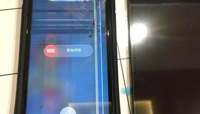 SumahoXiu Li Mai Qu Aipuro Qing Sen MutsuDian O Na Ti Gong - むつ市