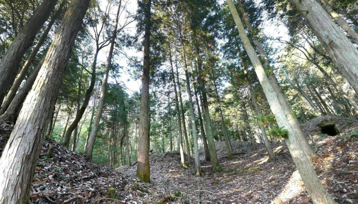 TatsunoShi Sutori Tobiyu To 360deg Biyu - たつの市