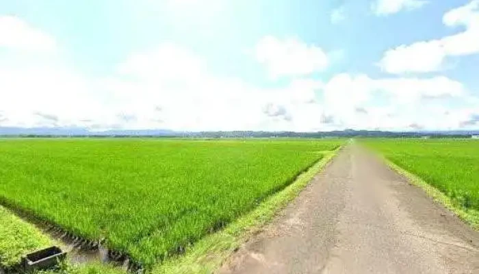 Tesuto Subete - 上越市