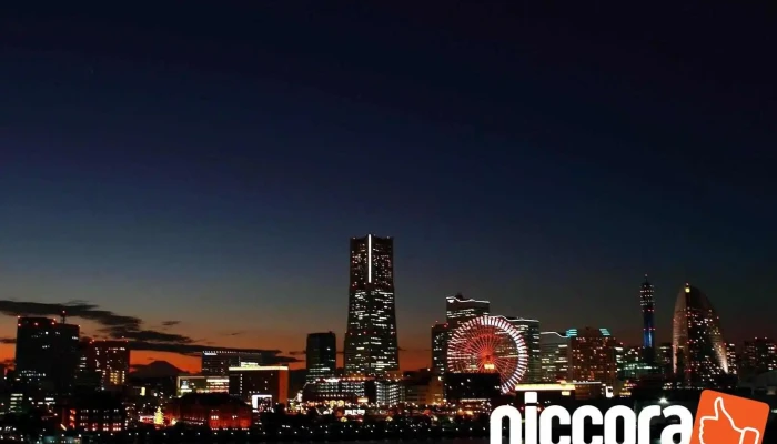 Ultimate System Developers International, Inc.日本営業所 - 横浜市