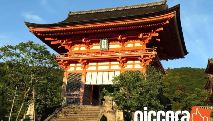 Your Japan Private Tours -  Wai Guan - 京都市