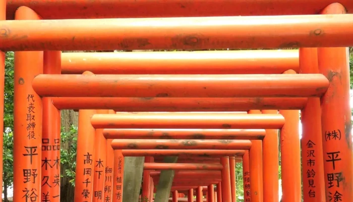Your Japan Private Tours -  Instagram - 京都市