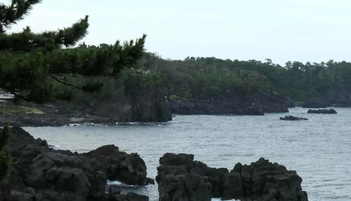 Your Japan Private Tours -  京都市 - 京都市