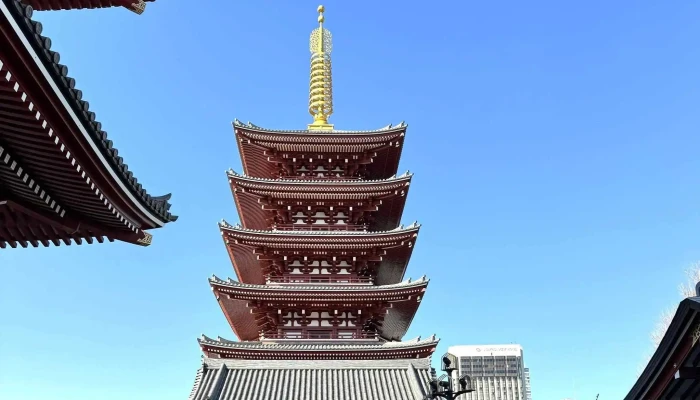 Your Japan Private Tours -  営業時間 - 京都市