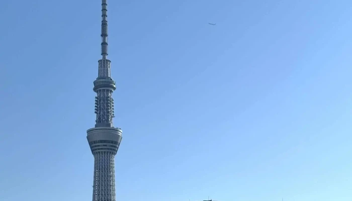 Your Japan Private Tours -  近く - 京都市
