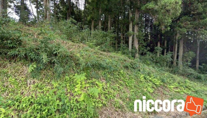 お助け隊（コンピュータスマホ等困ったときの） - 美咲町