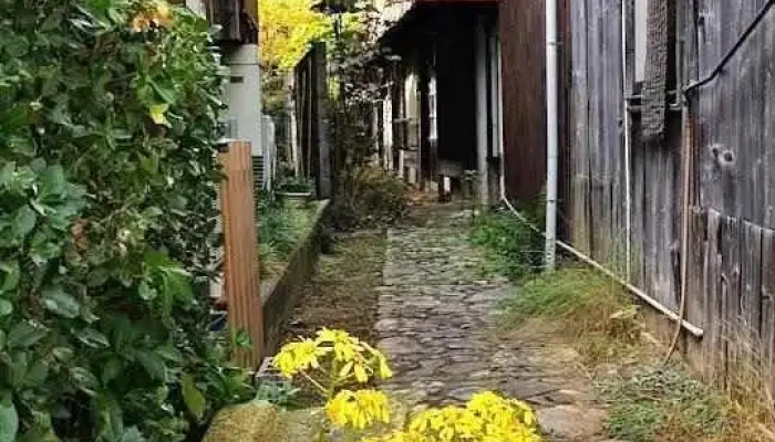 たつの市 - たつの市