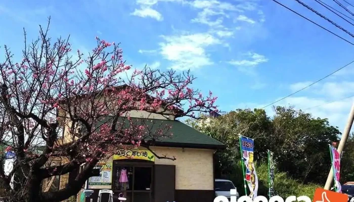 ぬちぐすい畑 - うるま市