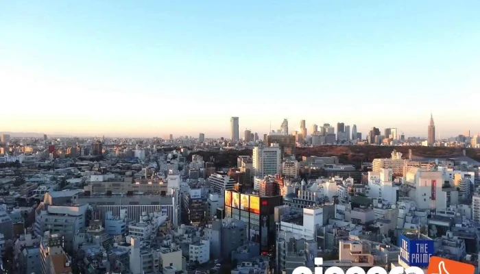 リージャス渋谷マークシテイ - 渋谷区
