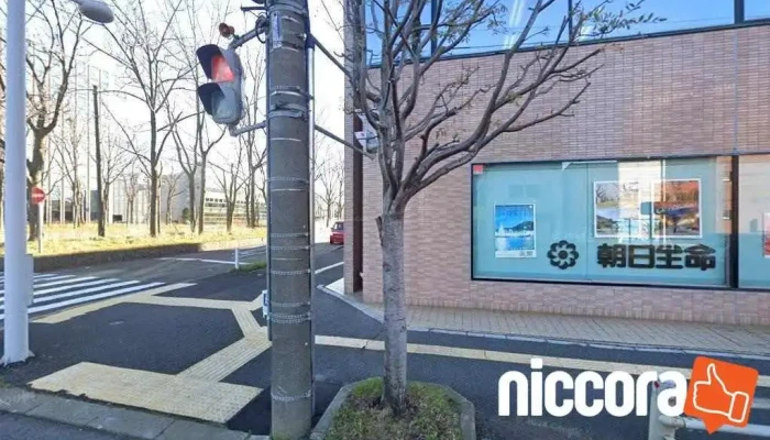 ㈱オルタナティブシー 函館r&d - 函館市
