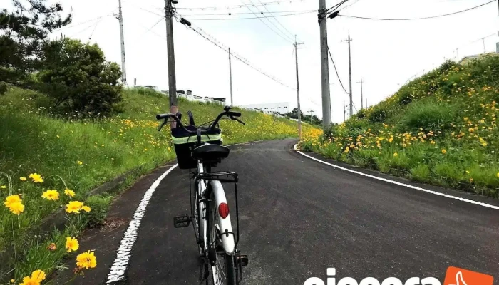 佐川急便(株) 加西営業所 - 加西市