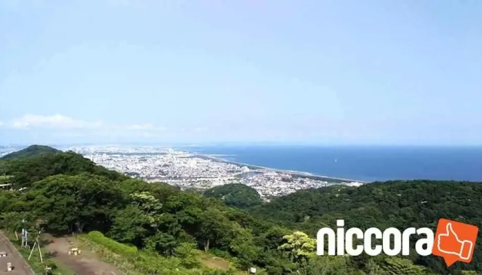 合資会社 茅ヶ崎スーパーオフィス - 平塚市