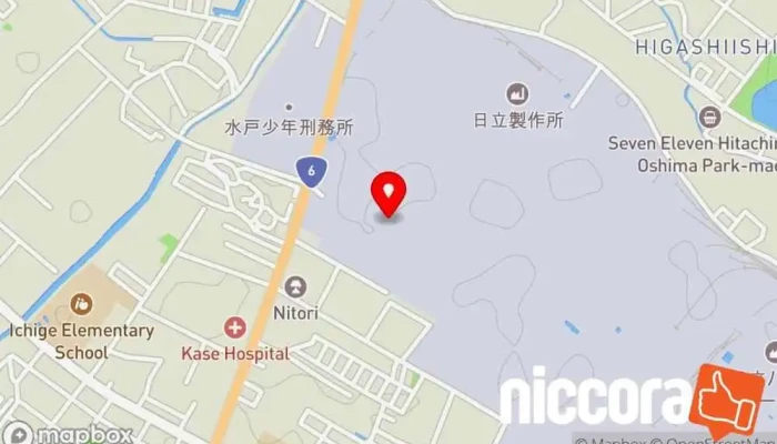 日立ハイテククーガーズ - ひたちなか市