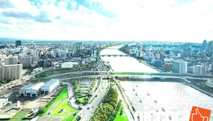 東京アプリケーションシステム(株) 新潟支社 - 新潟市